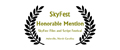 Honorable Mention, Skyfest